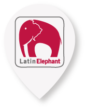 Latin Elephant | Southwark Wellbeing Hub | Together: A leading UK